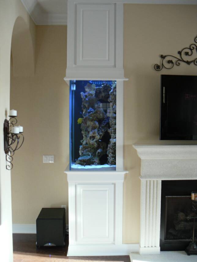 Custom Aquarium Tampa Florida