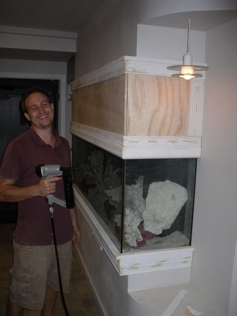 building custom fish tank tampa