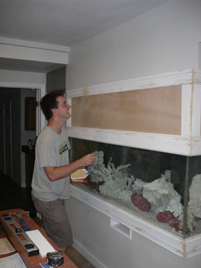 building custom aquarium tampa
