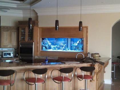 Custom Aquariums and fish tanks Installed in Tampa Florida