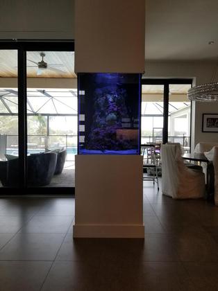 Custom Aquarium process Tampa fl