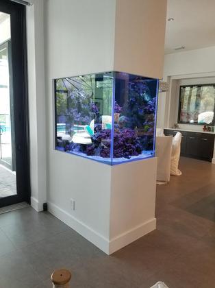 Custom Aquarium before Tampa FL